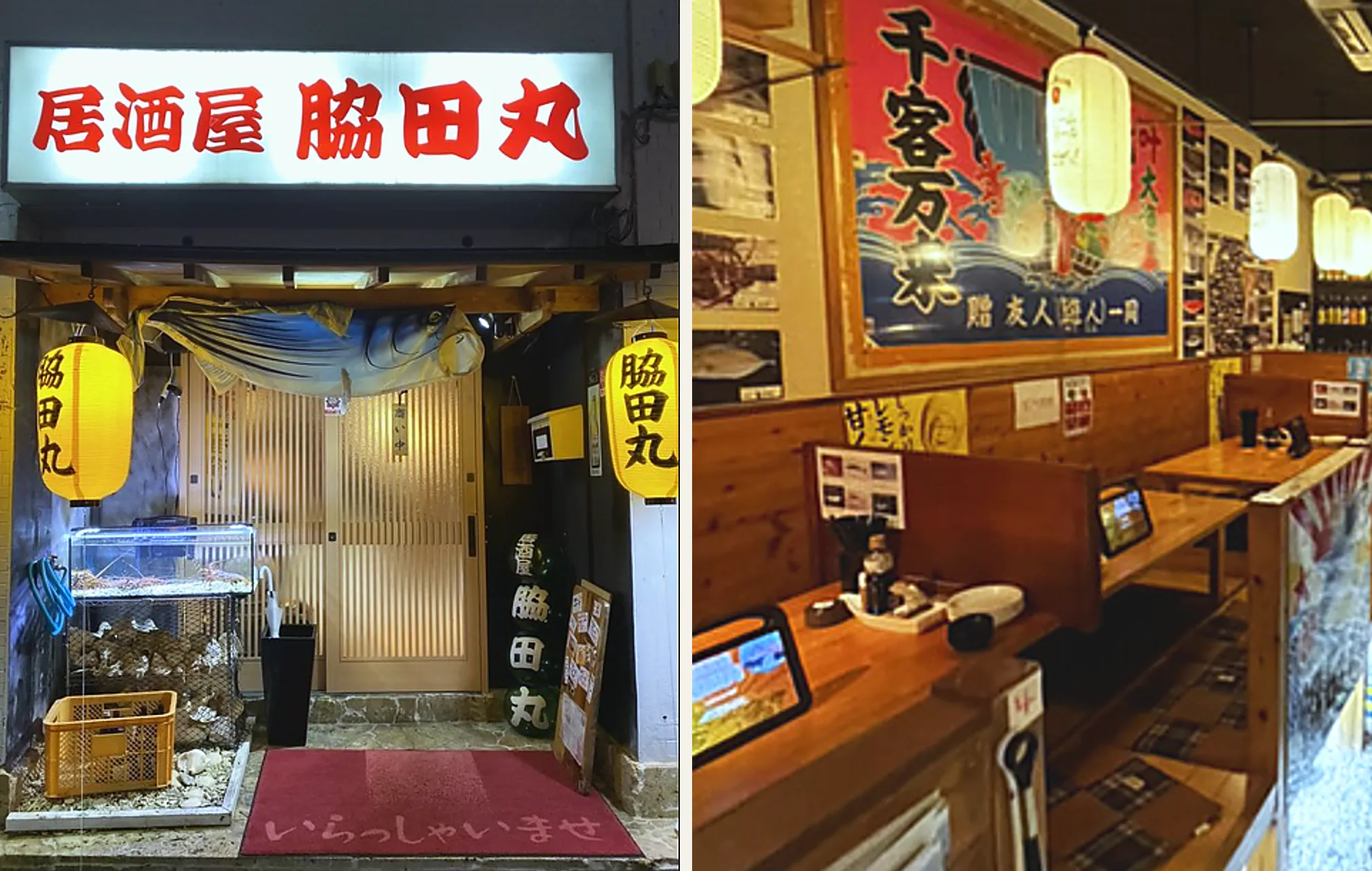 左は夜の店構え。「居酒屋 脇田丸」の白い看板の下に、カツオを描いた暖簾と黄色い提灯、生け簀が並ぶ。右は店内のカウンター席で、「千客万来」の大漁旗と提灯、壁一面の魚の写真