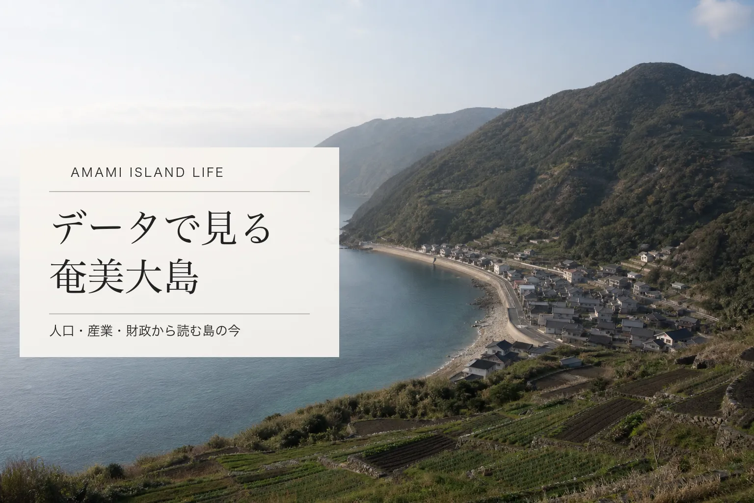 データで見る奄美大島