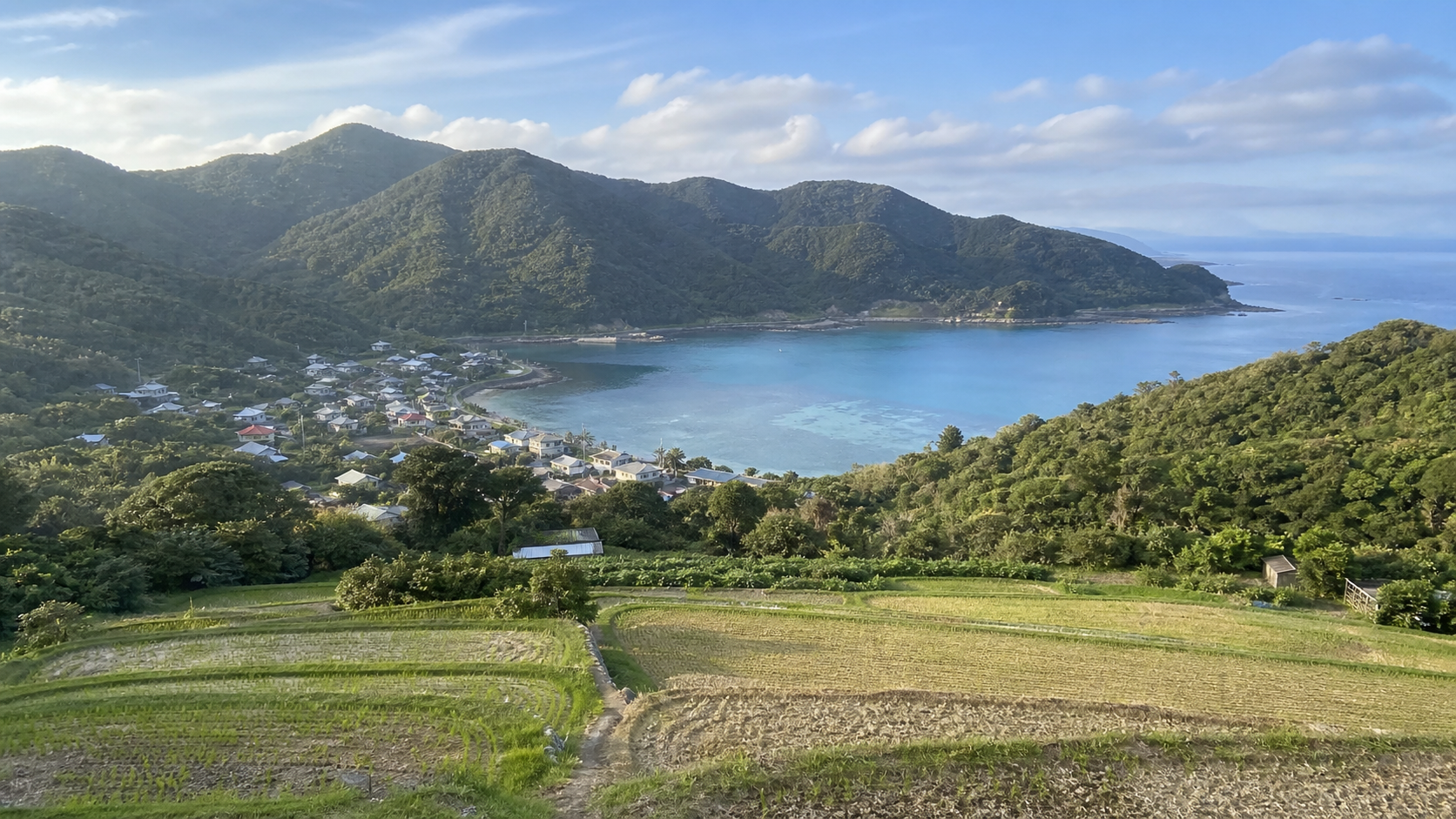 秋名集落と秋名湾を見渡す風景。手前に棚田、奥に緑の山と穏やかな入江が広がる