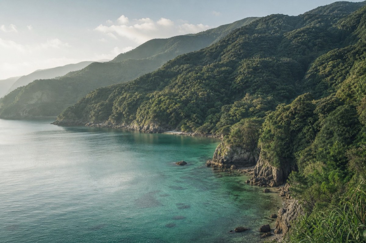 緑の山々が海岸線まで迫る奄美大島の入り江。透明度の高いエメラルドグリーンの海が広がる